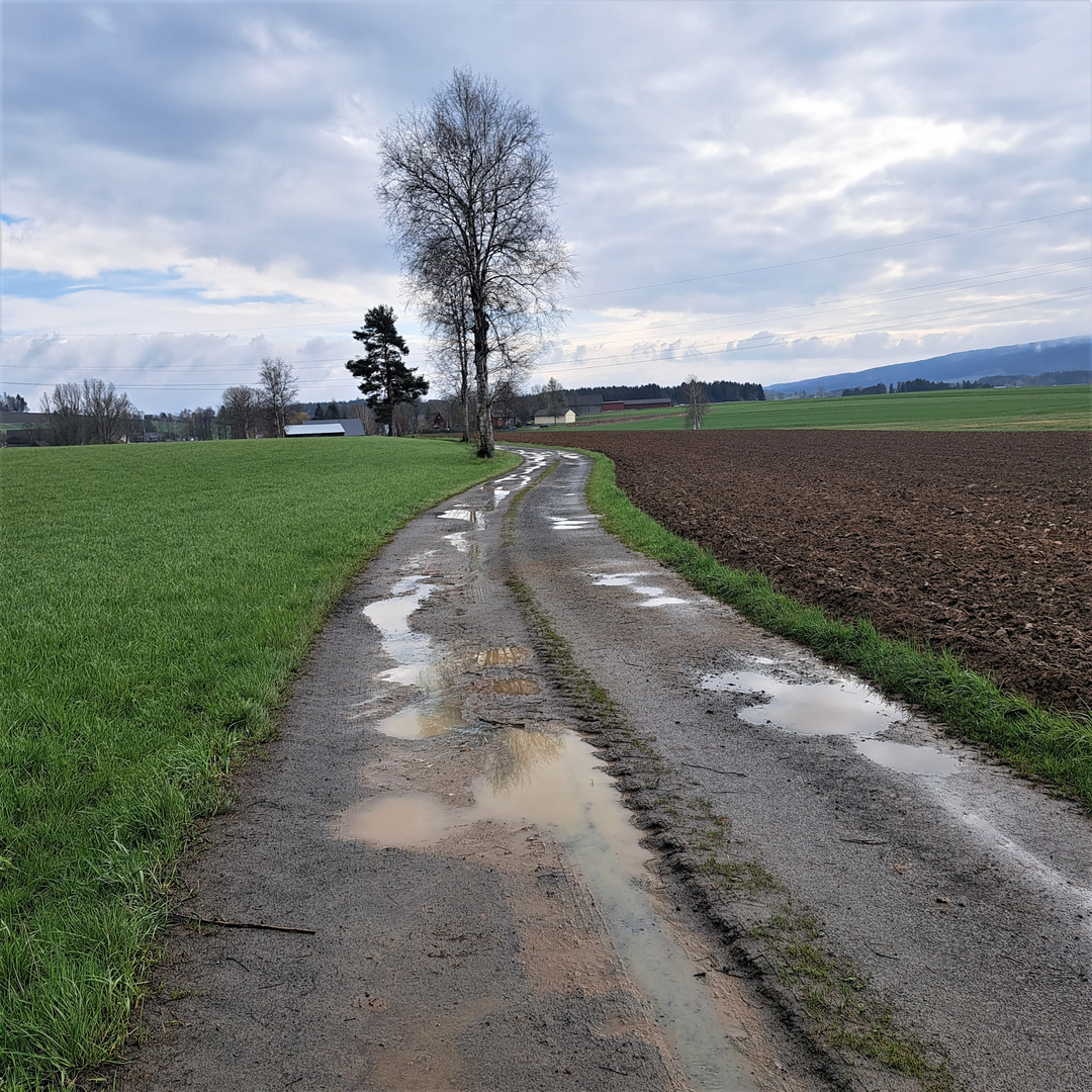 20230425  Spiegeltag auf dem Wasserscheideweg