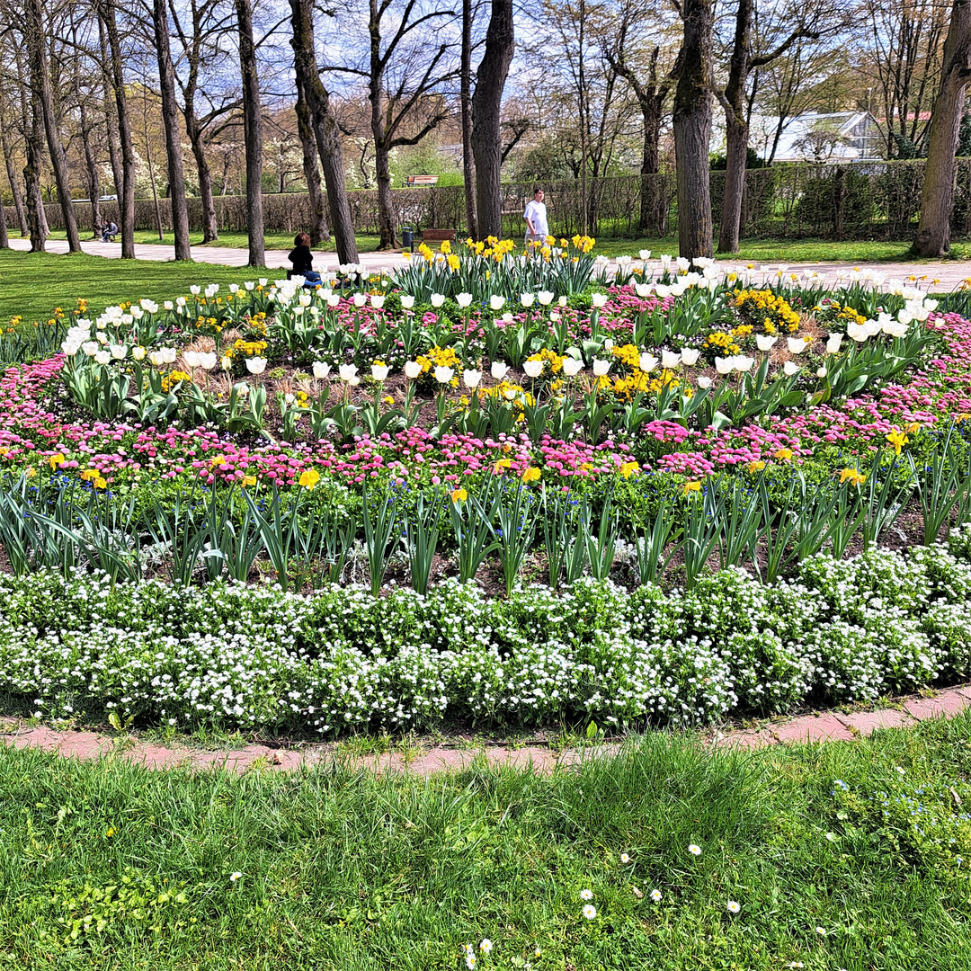 20230427  Ansbach :Blumen mitten im Hofgarten
