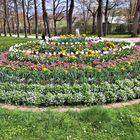 20230427  Ansbach :Blumen mitten im Hofgarten