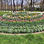 20230427  Ansbach :Blumen mitten im Hofgarten