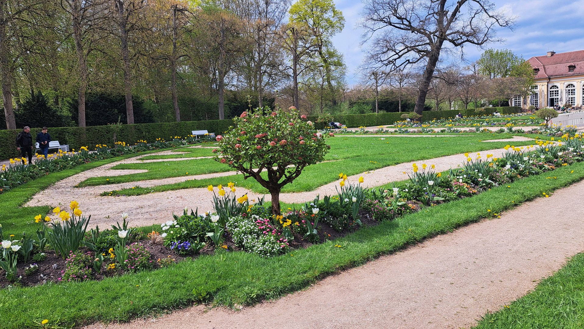 20230427 Ansbach Hofgarten  Blumenbeete vor der Orangerie