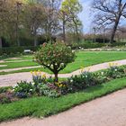 20230427 Ansbach Hofgarten  Blumenbeete vor der Orangerie