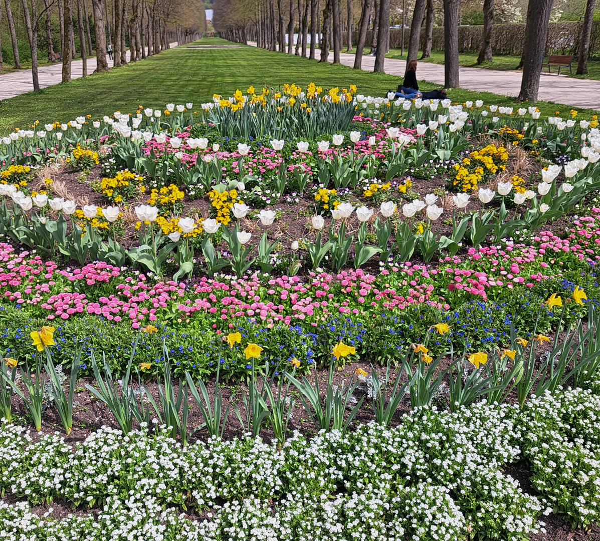 20230427 Ansbach Hofgarten : Blumenrondell mit unendlicher Liegewiese