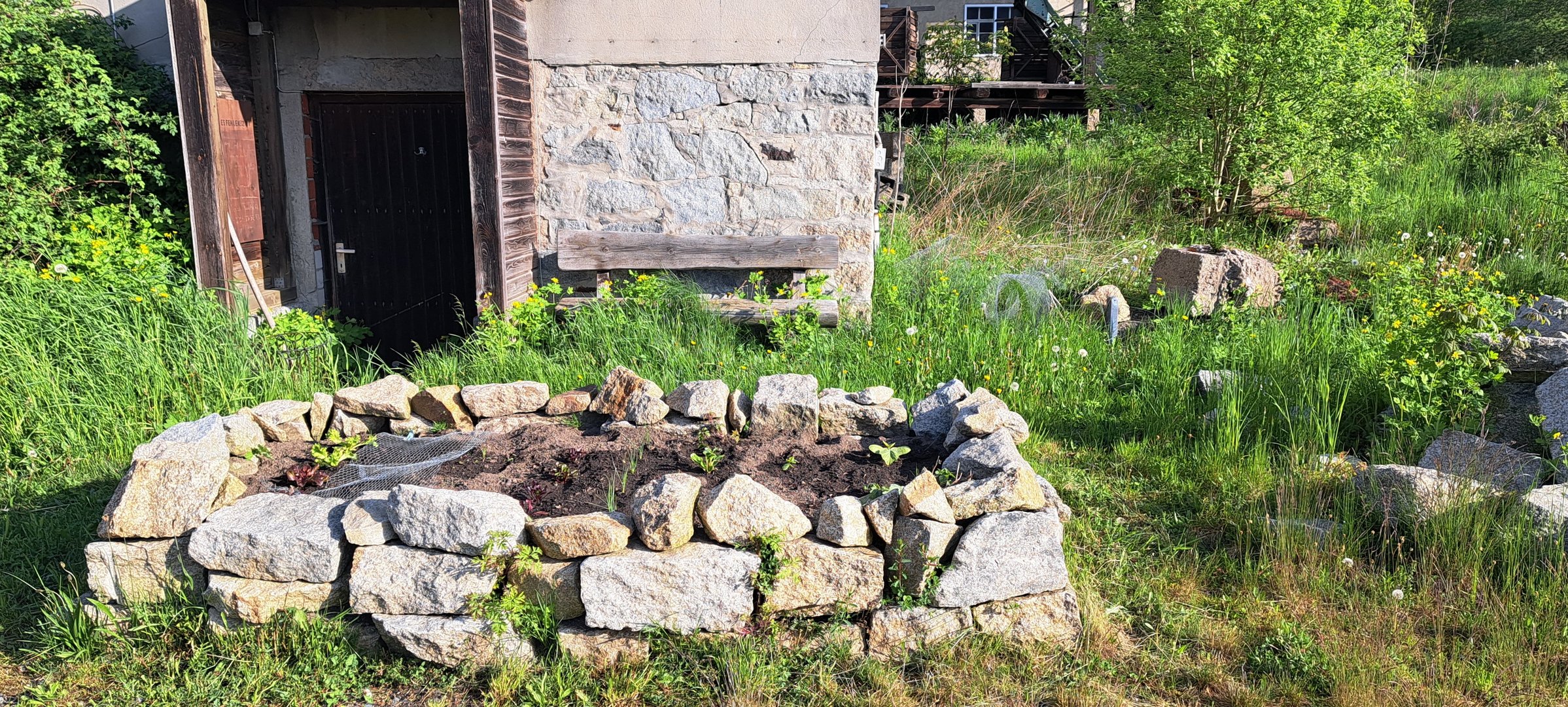 20230518 Durchblick :Hochbeet frisch gewässert 