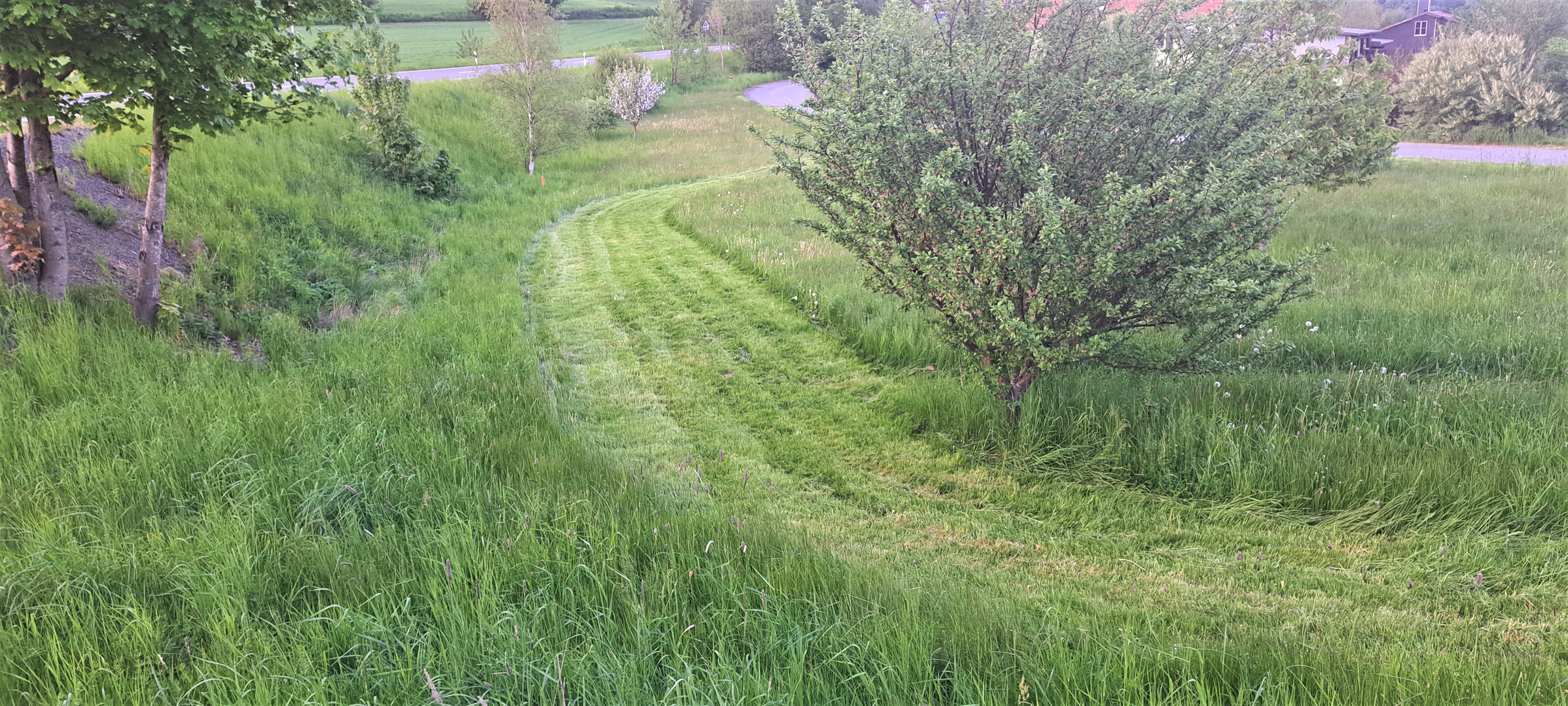 20230521  "Barfußweg" vor der Haustüre 