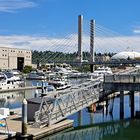 20230627 Foss Waterway Bridge - Tacoma