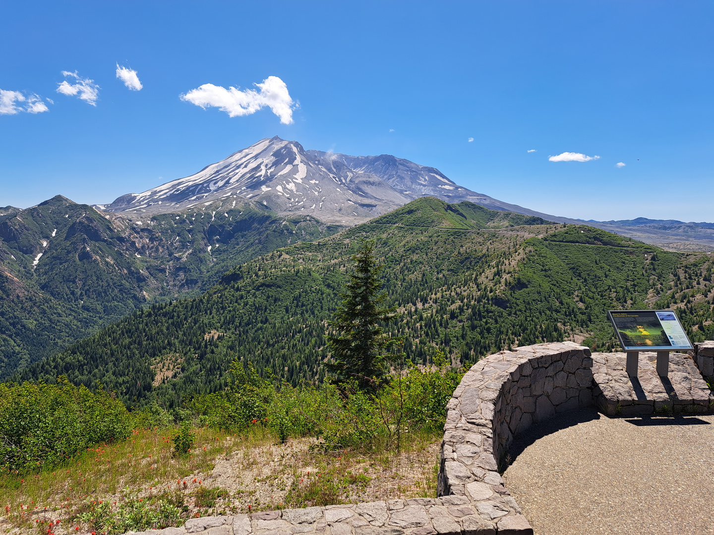 20230629 Mt St Helens from NFD Rd 99