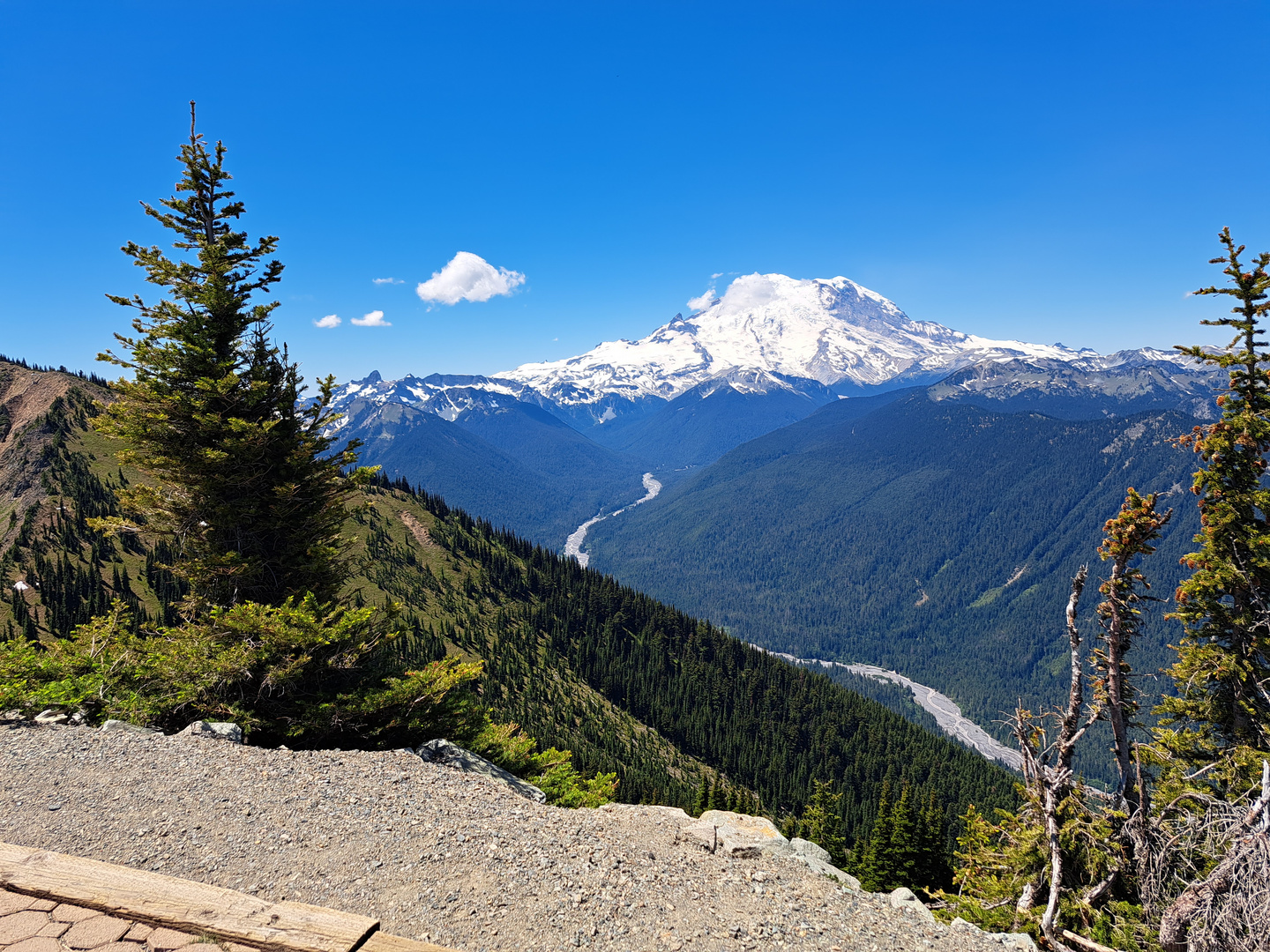 20230630 Mt Rainier from Crystal Mtn