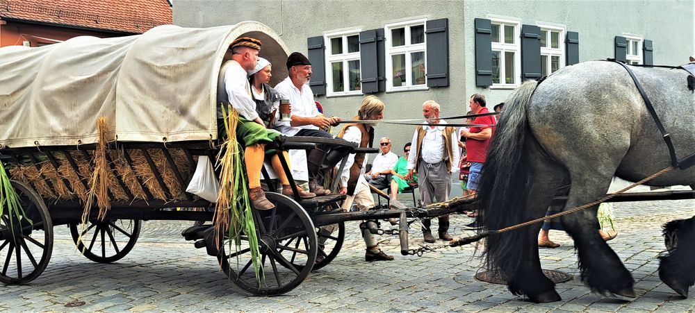 20230723  Kinderzeche Dinkelsbühl Bedienung Bremse  Leiterwagen