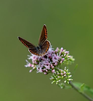 20230806112923_IMG_1743-01