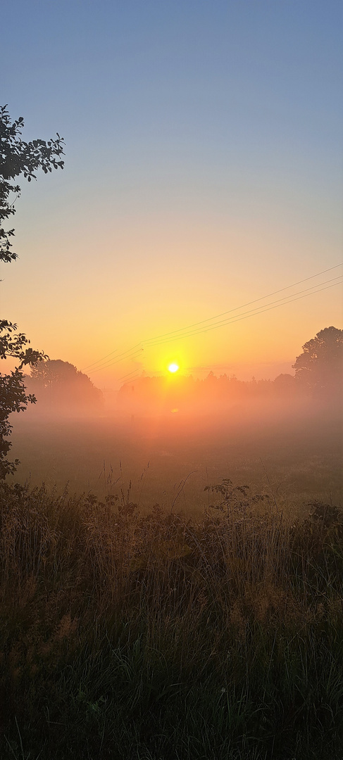 20230821 Blauer Himmel über  Sonnenleuchten und Morgennebel