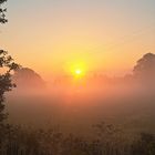 20230821 Blauer Himmel über  Sonnenleuchten und Morgennebel