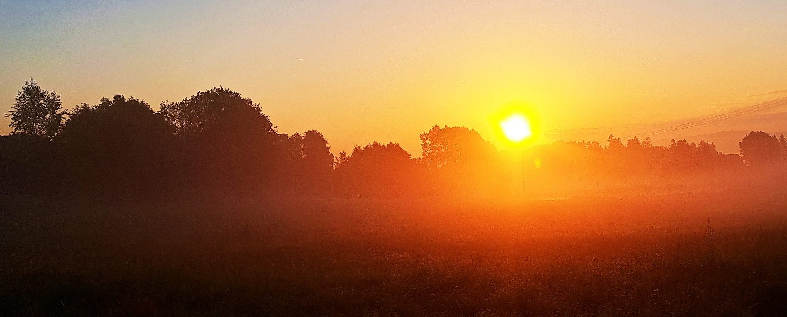 20230821 Sonnenleuchten im Morgennebel