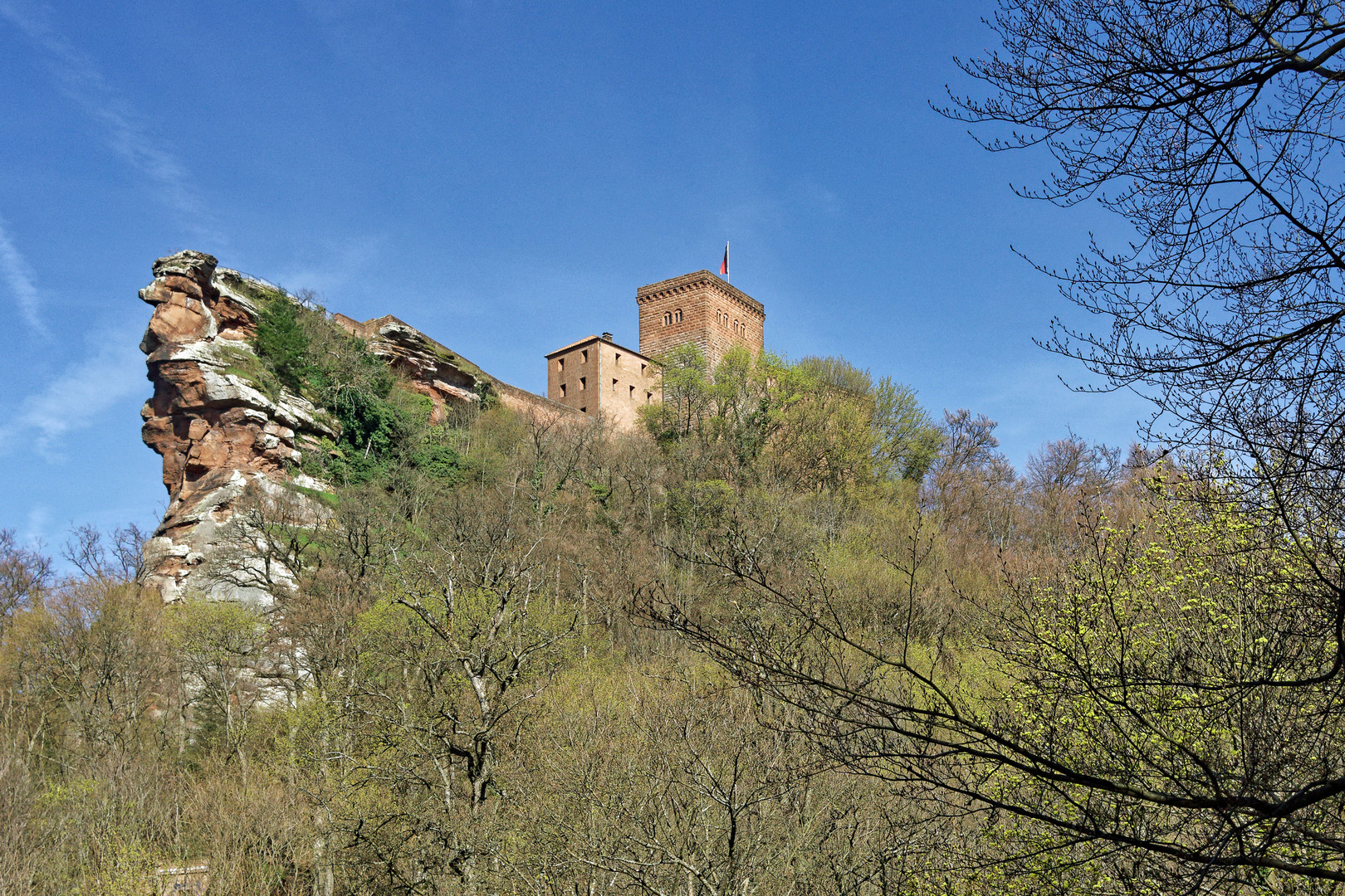 2023_Burg Trifels_08545