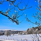 2024-01-20 die Rhön mit der Wasserkuppe im Hintergrund