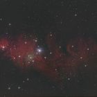 2024-03-11_MNSx4_B24-NGC2264_270deg_F3-DuoNB