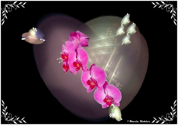 2024-12-31-Herzlichen  Dank.....