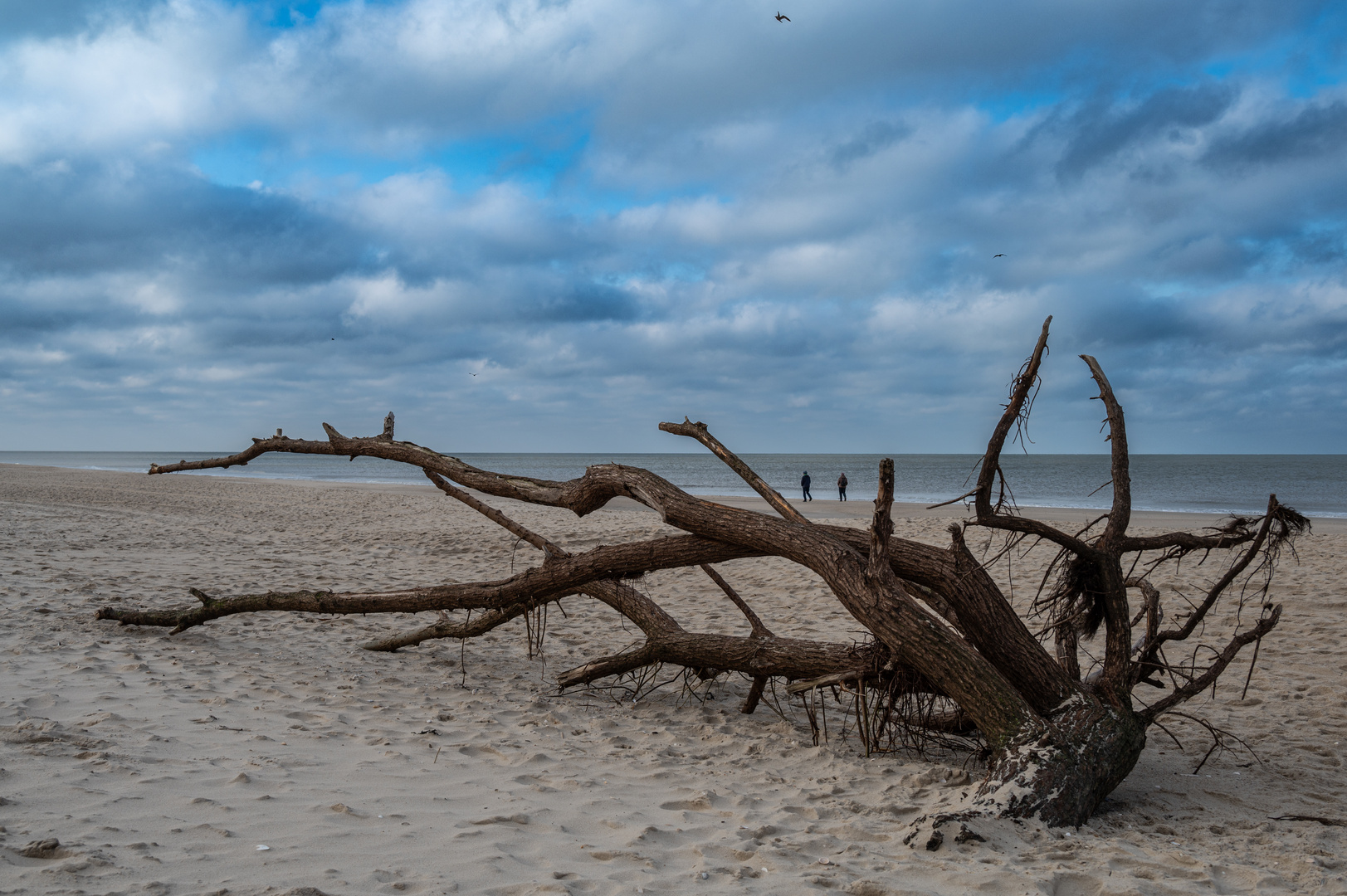 2024 Strandgut in Westerland/Sylt