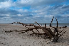 2024 Strandgut in Westerland/Sylt