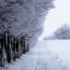 202401 Winter_0013_20240121_1119