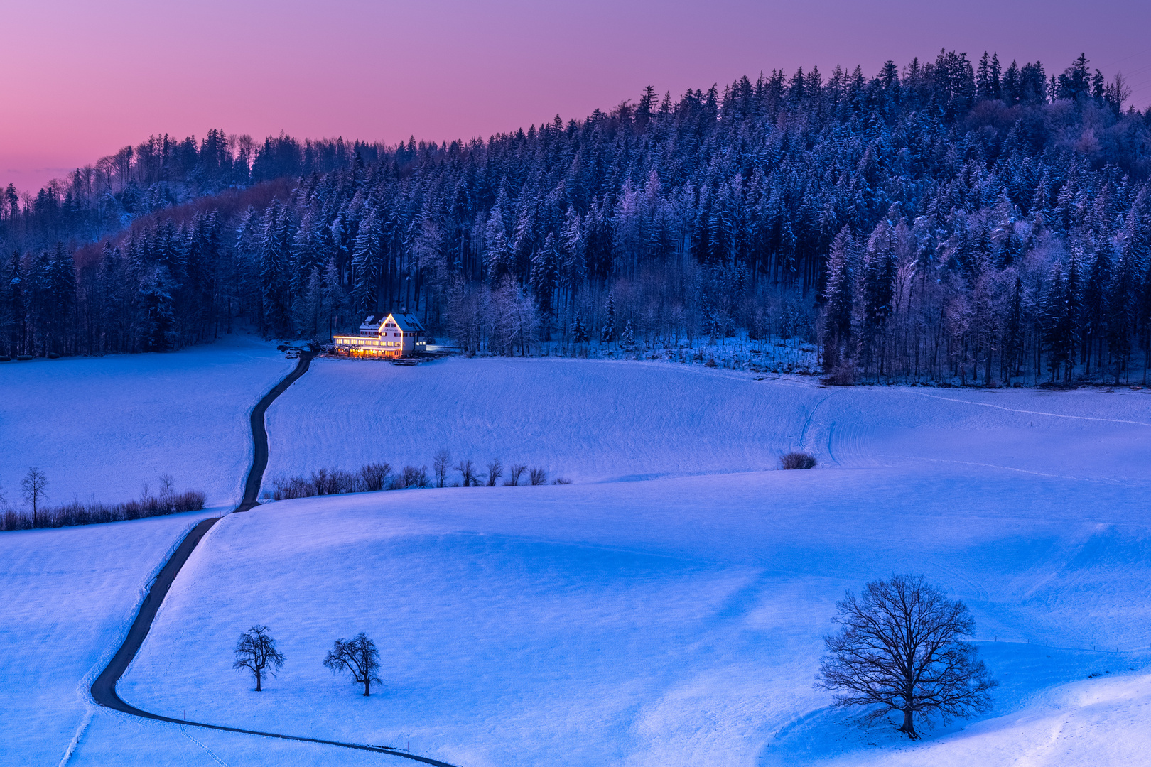 20240119_Landschaft_Winter_Albis_10-2