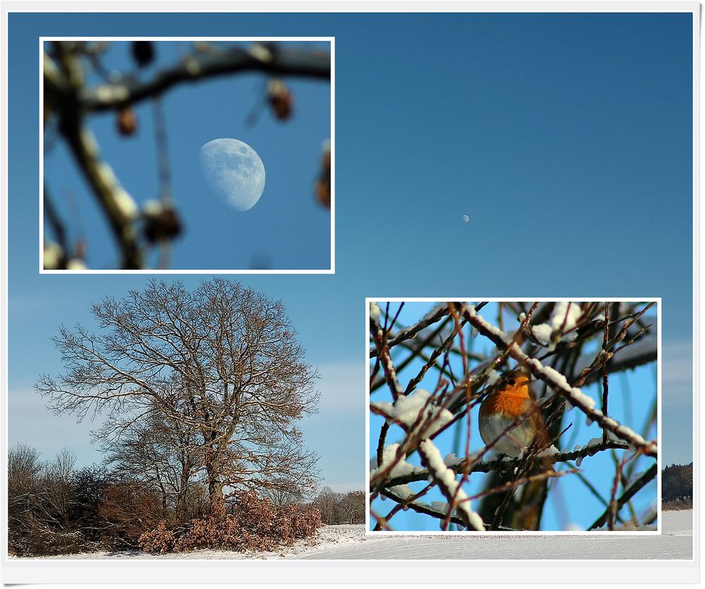 2024.01.20 Mein Winterspaziergang...