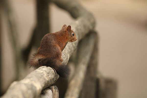 20240623082034_IMG_7946-01