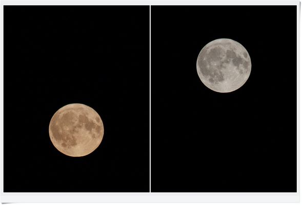 2024.08.19 Vollmondaufgang heute Abend