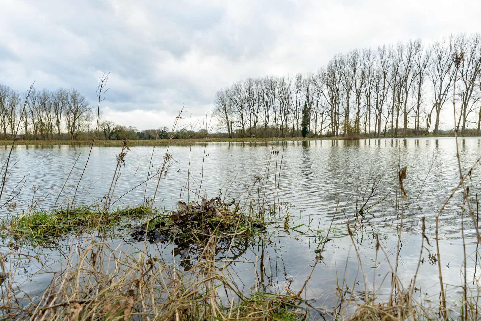 2024_Lippehochwasser bei Ahsen