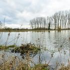 2024_Lippehochwasser bei Ahsen