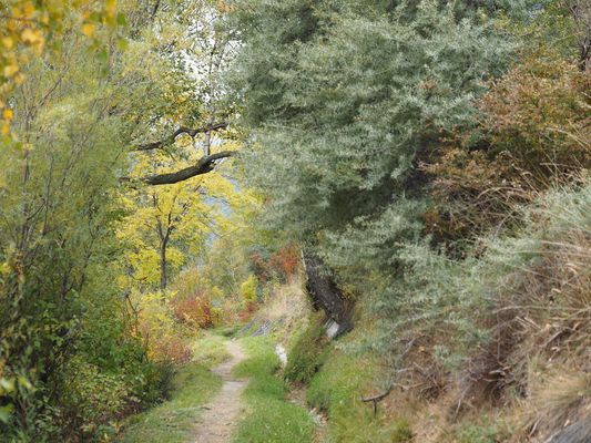 2025: Wo führt der Weg wohl hin?