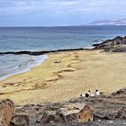 20250702_095907A3__LAST DAYS TO THE BEACH__