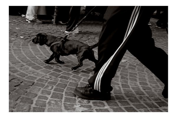 20251013-0054-DSCF0102