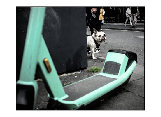 20251013-0074-DSCF0137