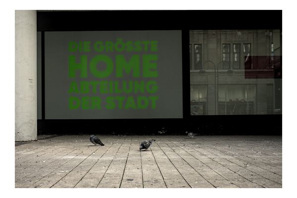 20251013-0081-DSCF0153