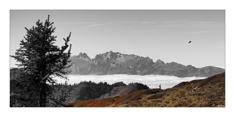 20251013_über dem Nebel