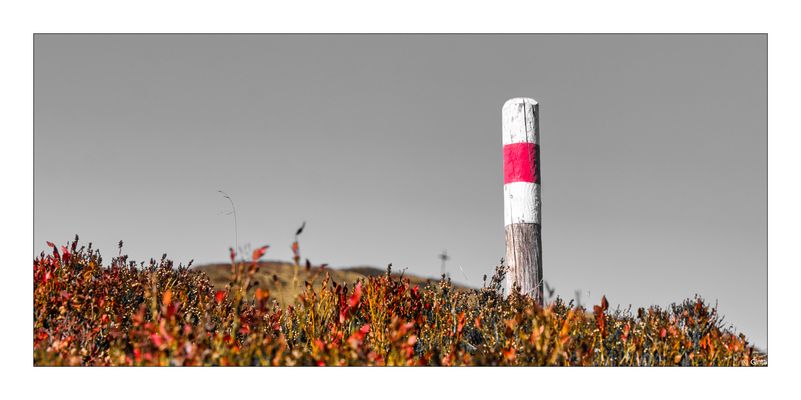 20251013_Wegmarkierung