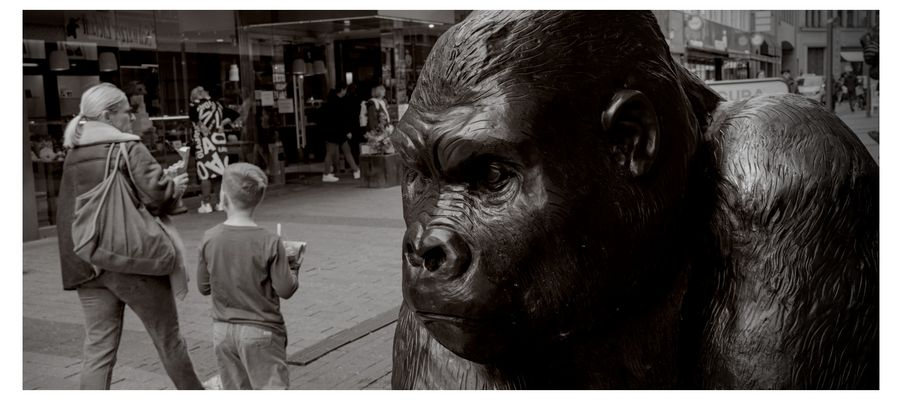 20251016-0021-DSCF0021