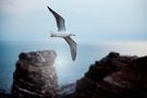 #niederrheinfoto | Nordseeinsel Helgoland -  Abendstimmung an der Steilküste von Niederrhein Foto