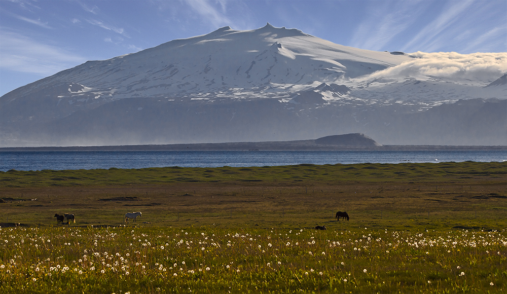 20.37 Uhr - Good Morning Iceland....