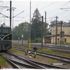 2050 05 im Bahnhof Timelkam