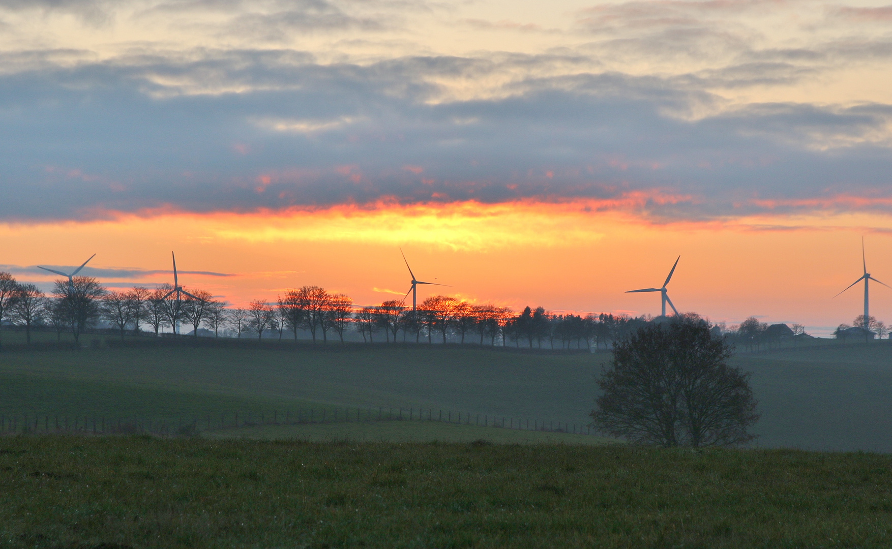 20505 Sunset am Heinenbeuelsberg