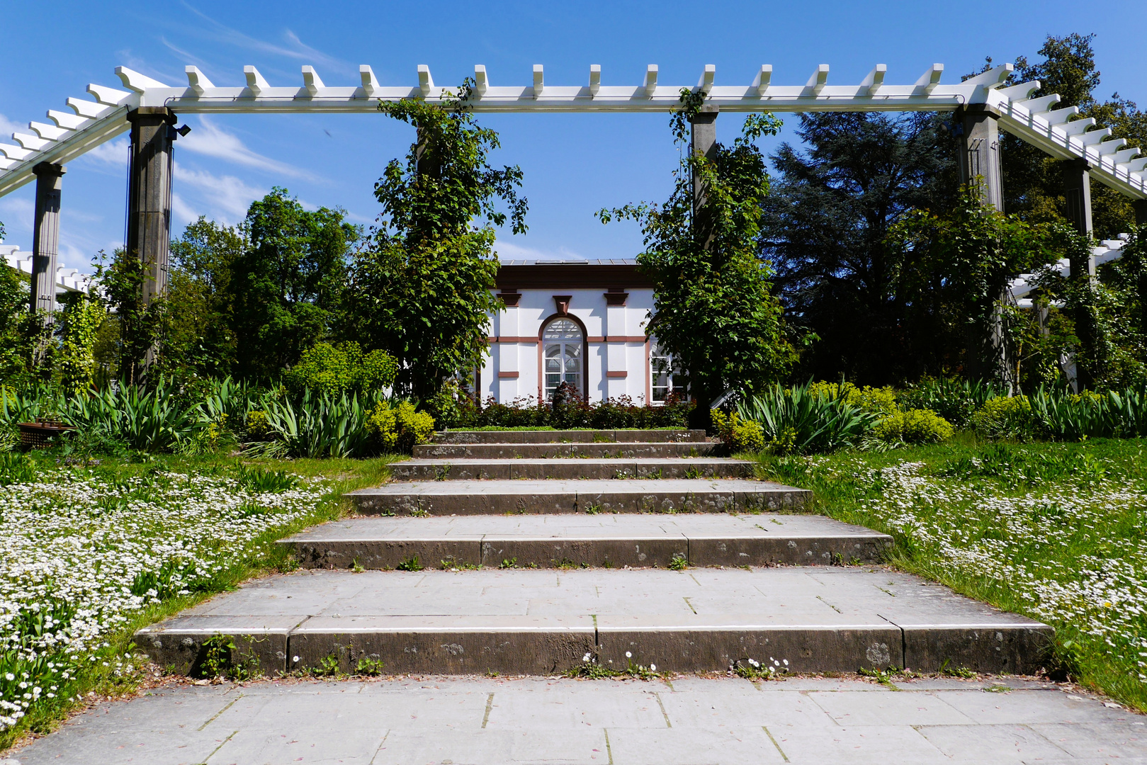20/52   Durchblick im Palmengarten