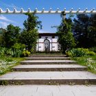 20/52   Durchblick im Palmengarten