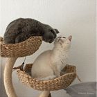 20/52 Zwei die sich mögen… 