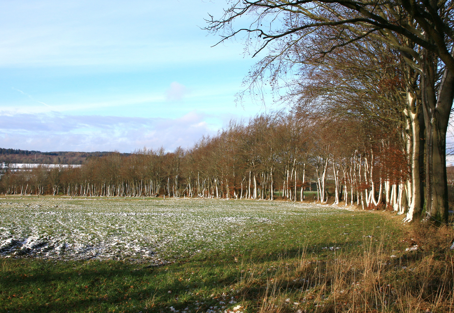 20611 Winter an der Kalferscheider Gasse