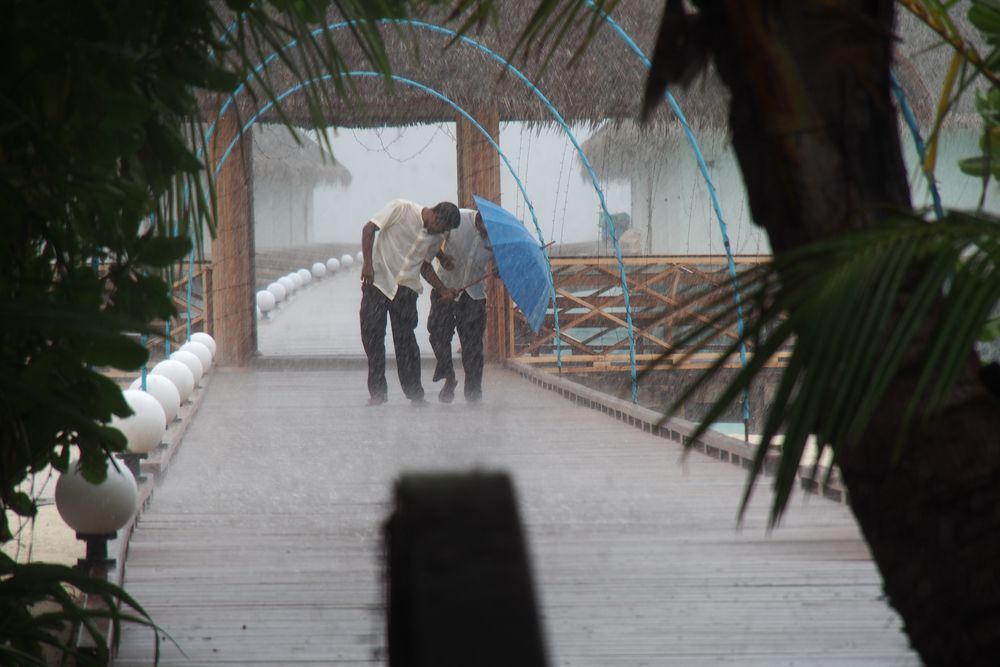 gegen Regen von Fitzlilutz