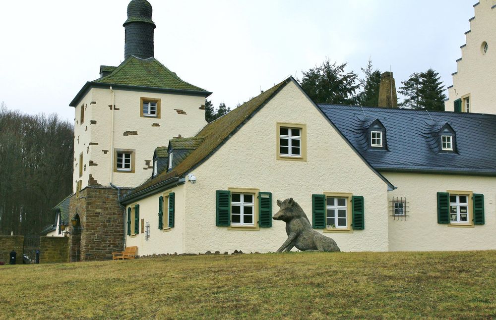 20890 ein Schwein vor dem Haus (Gut Hospelt)