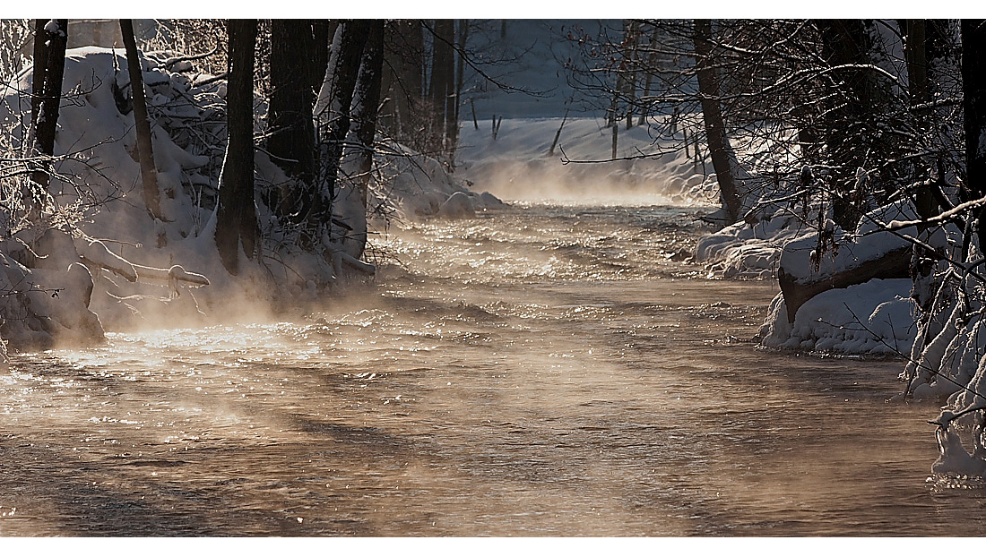 -20C°