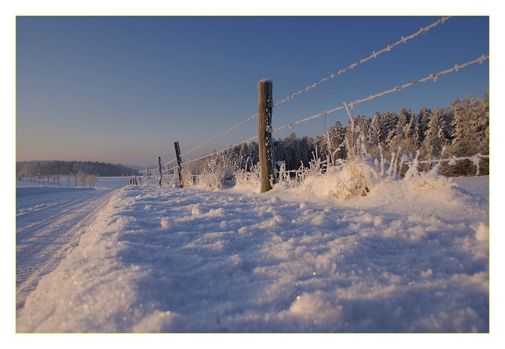 -20C°